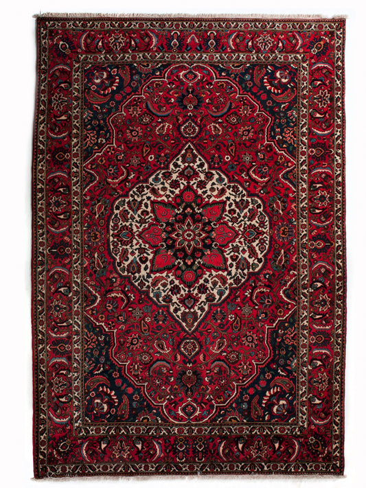 BAKHTIAR IRAN 320 x 207 cm