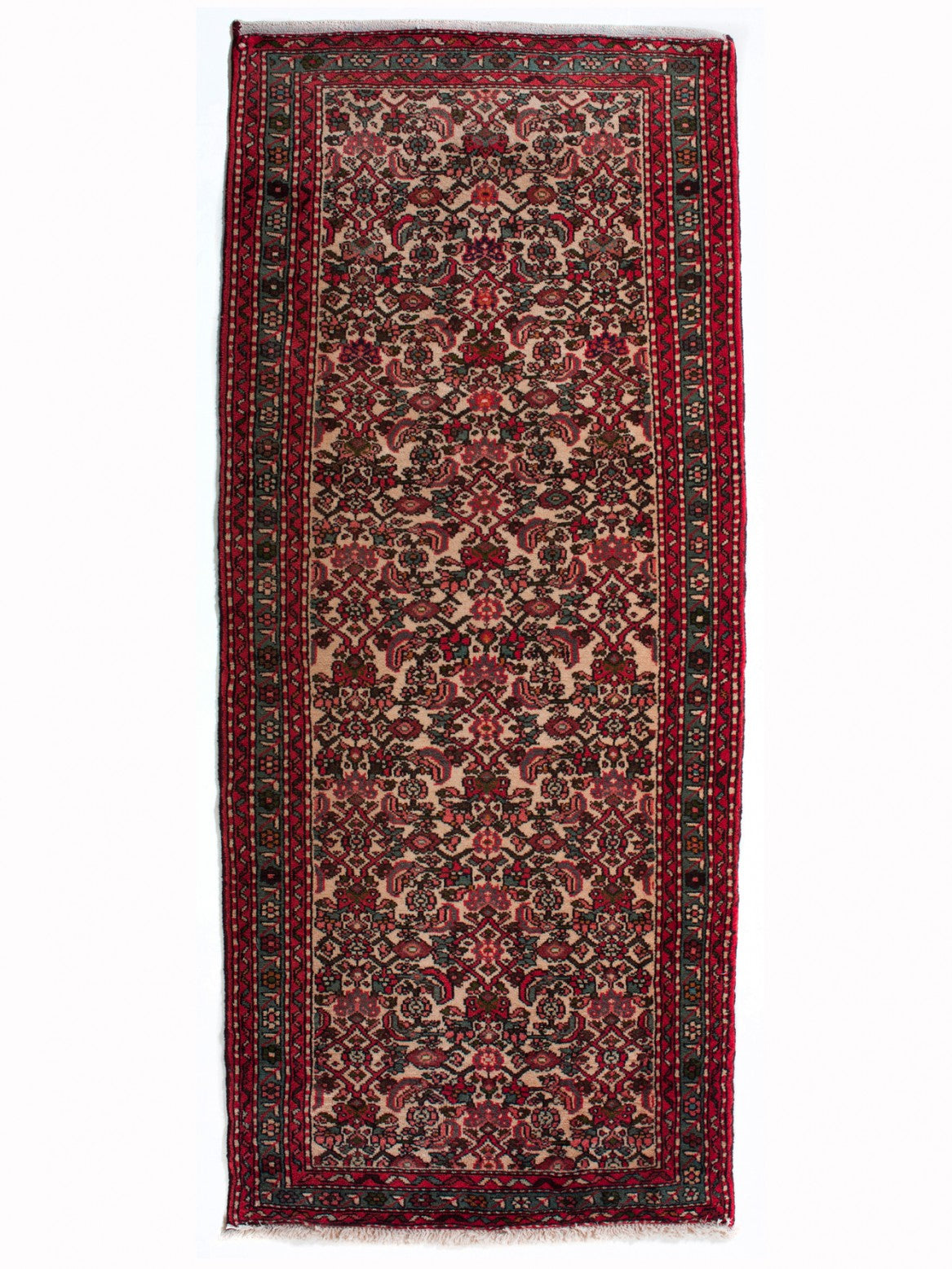 ROUDBAR IRAN 200 x 82 cm