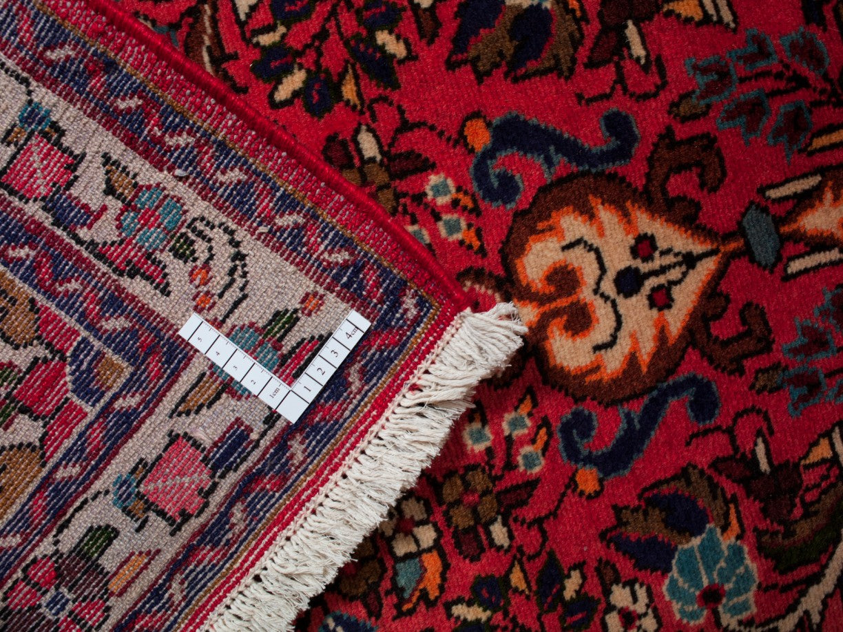 ROUDBAR IRAN 305 x 85 cm