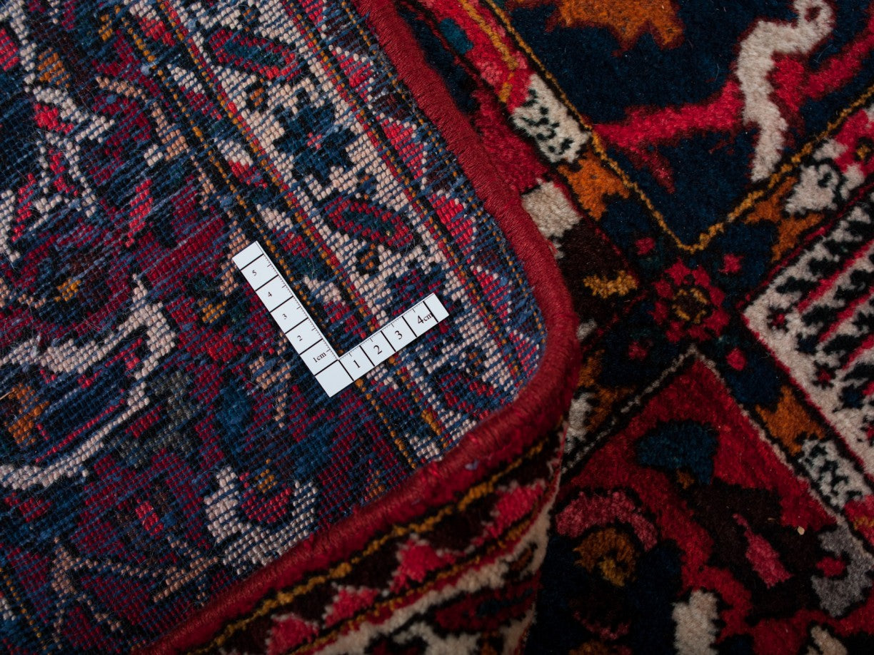 BAKHTIAR IRAN 313 x 215 cm