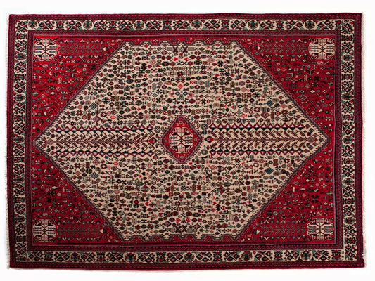 ABADEH IRAN 305 x 205 cm