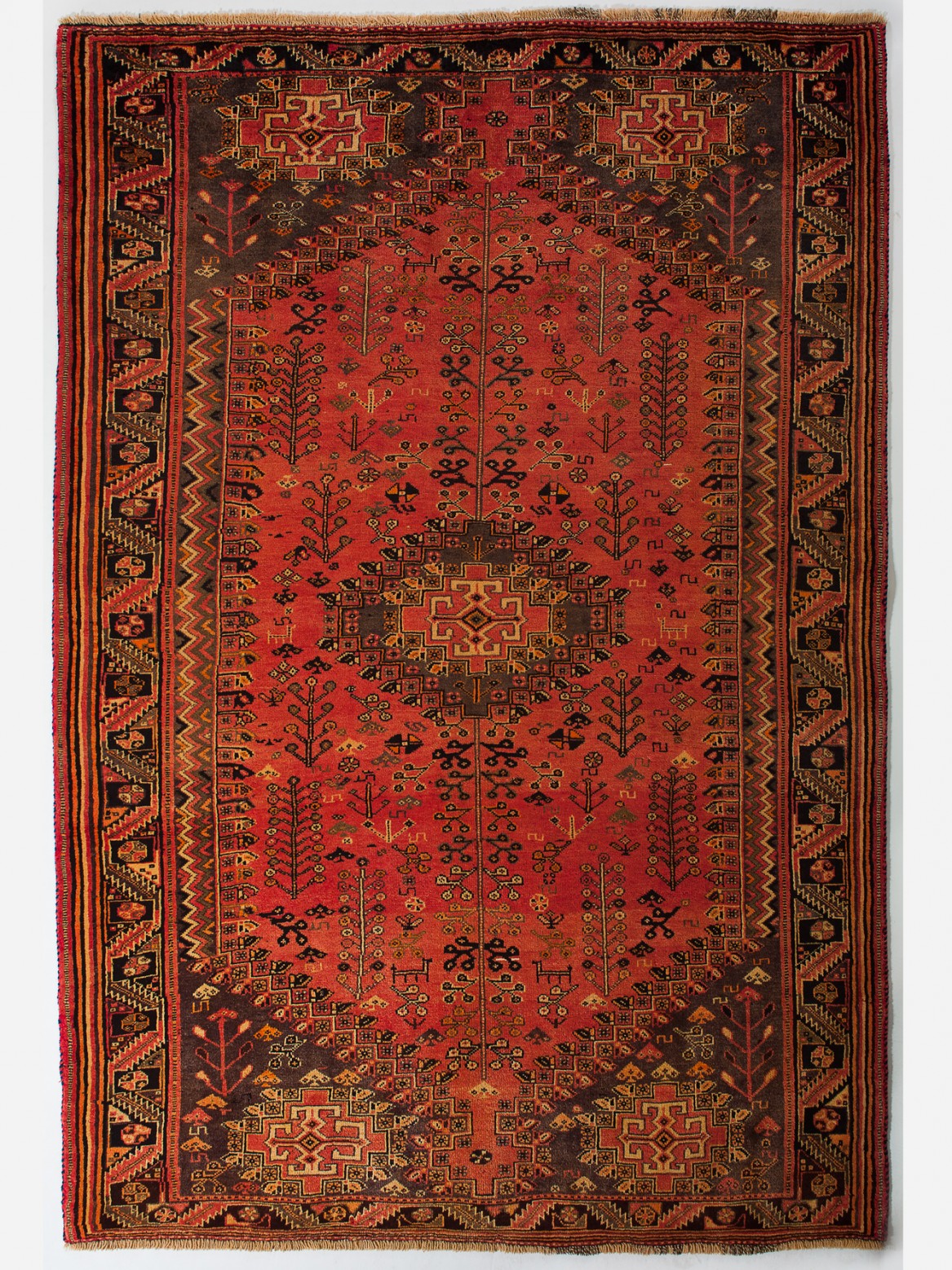 GASHGAI IRAN 250 x 165 cm