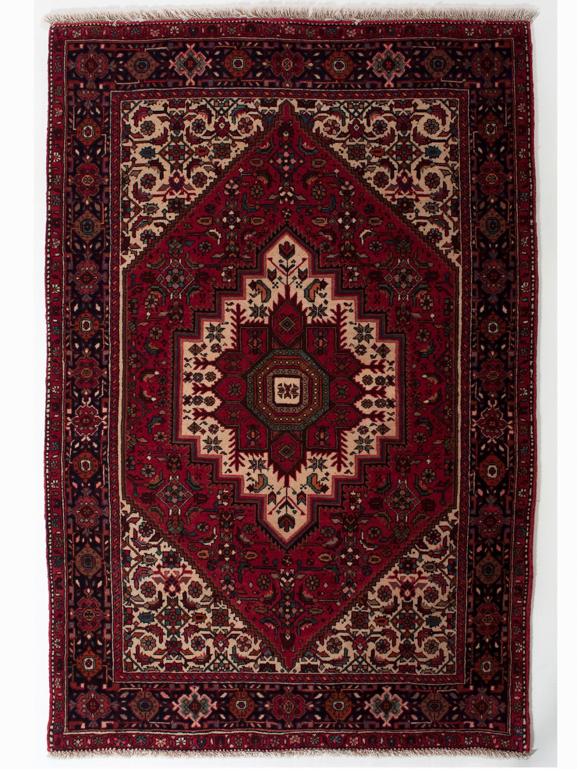 GOLTOK IRAN 159 x 100 cm