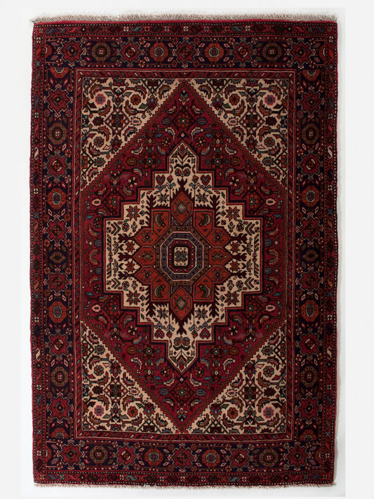 GOLTOK IRAN 155 x 100 cm