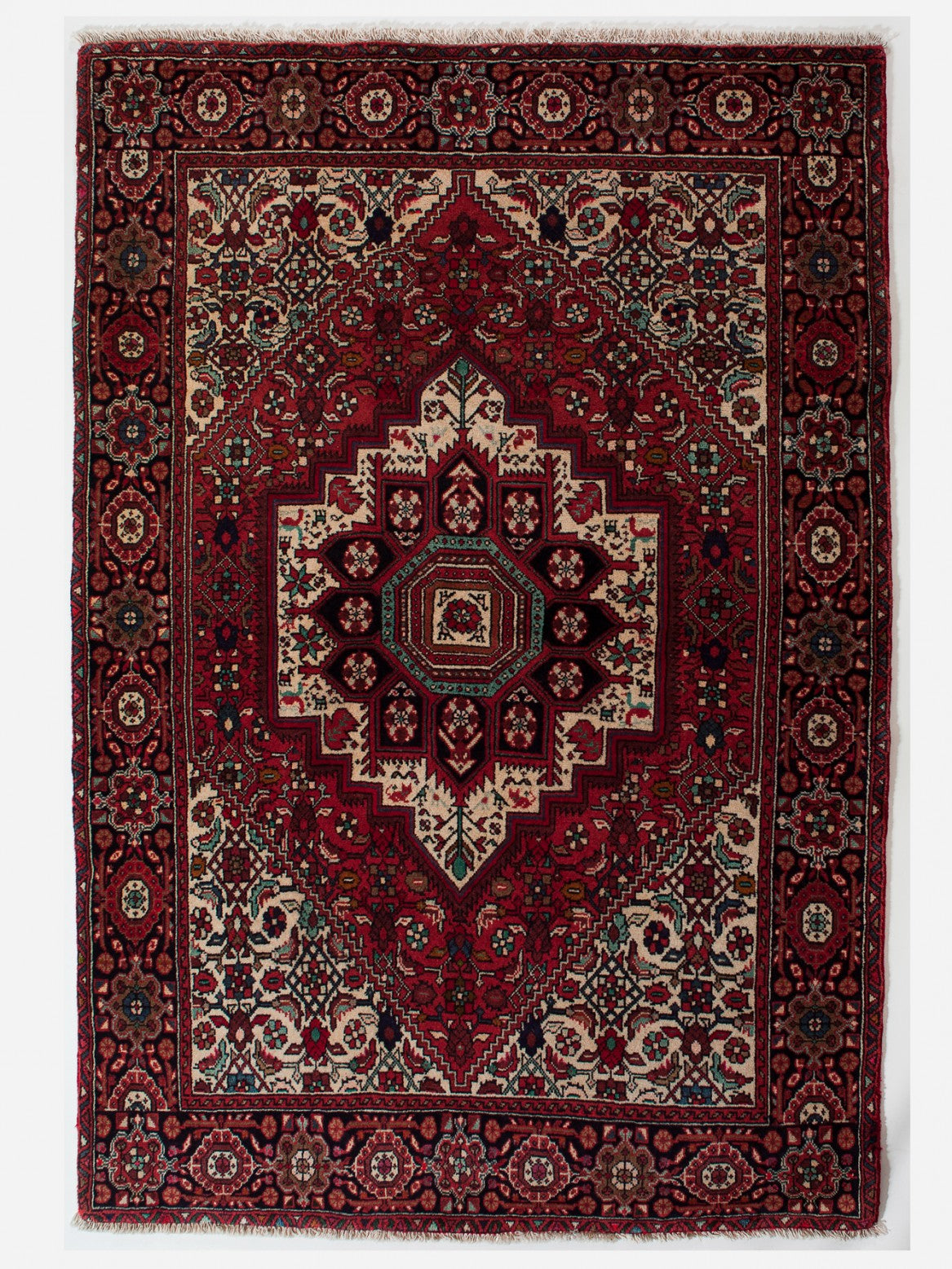 GOLTOK IRAN 157 x 105 cm
