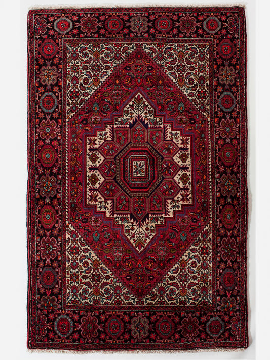 GOLTOK IRAN 151 x 102 cm