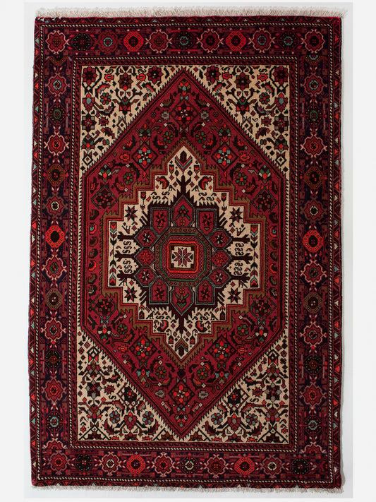 GOLTOK IRAN 146 x 95 cm